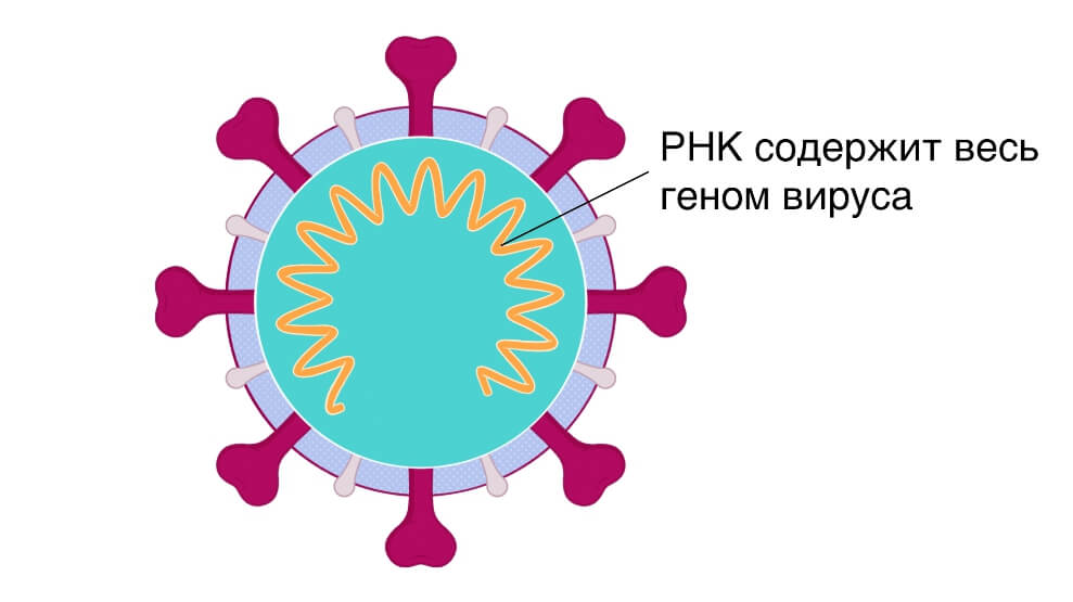 Кракен современный даркнет