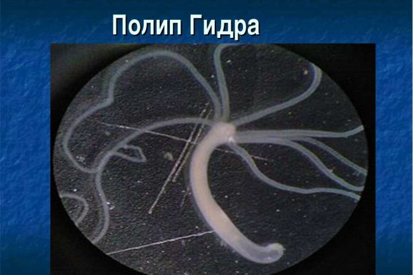 Кракен ссылка тор браузер