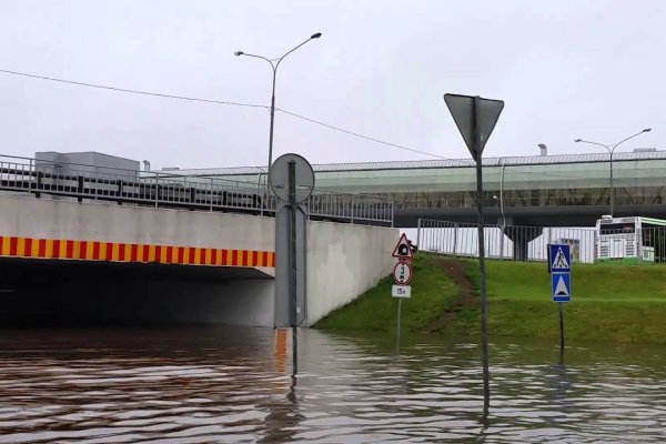 Кракен ссылка trikky